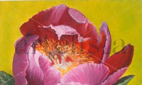 colección de pinturas de  flores