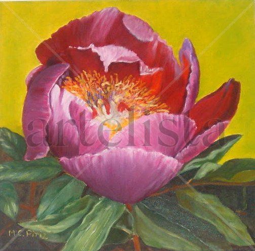 Rosa de Alejandría Oil Canvas Floral Painting