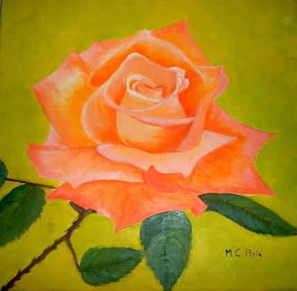 Rosa Naranja