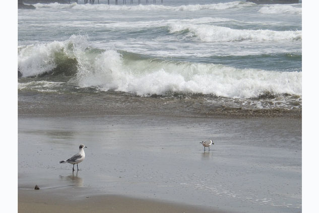 El reventar de las Olas 