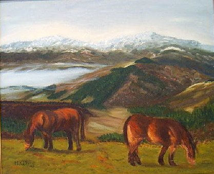 Caballos paciendo