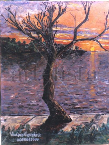 El Anglo -Atardecer- Oil Canvas Landscaping