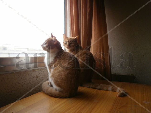 "La buena noticia"   1    "LA CASA ENGATADA"