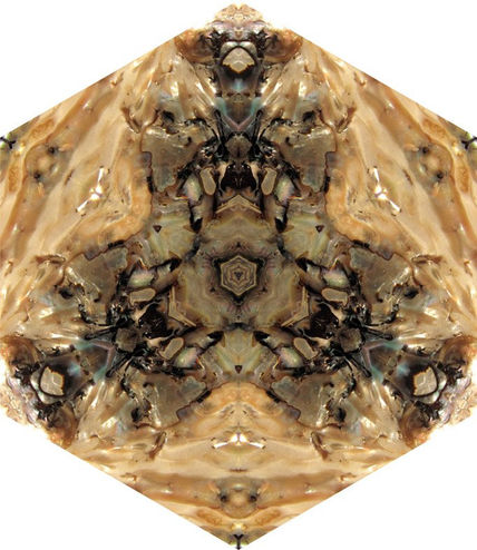 Almeja