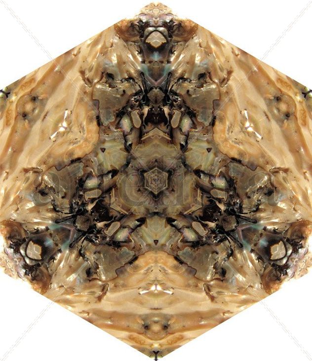 almeja