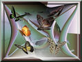 INVENTOS EN VERDE CON MARIPOSAS
