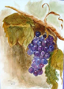 Uvas