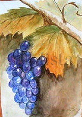 Uvas