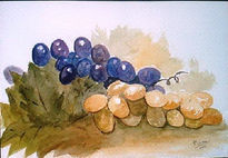 Uvas