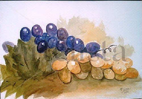 Uvas