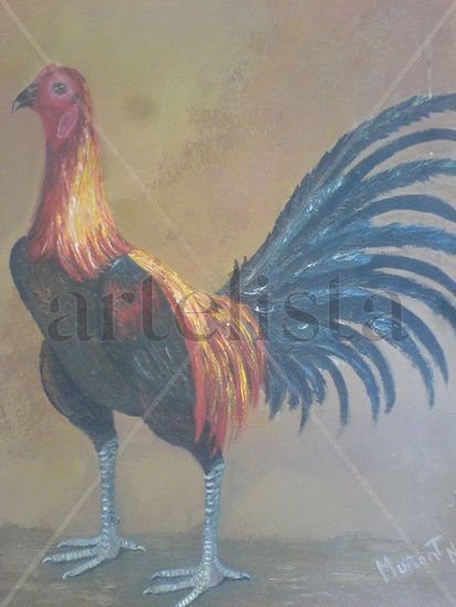 GALLO DE PELEA 