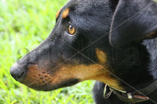 ‟Profunda mirada"