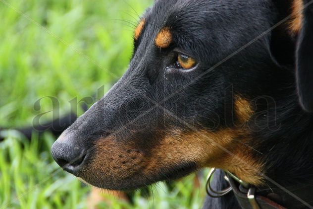 ‟Profunda mirada"