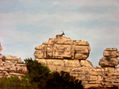 Sakina(El Torcal, Antequera).