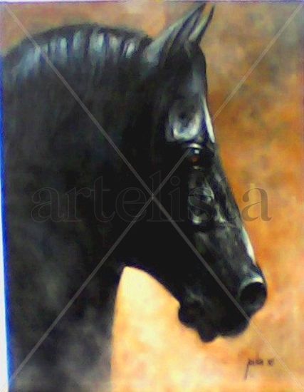 caballo Oil Canvas Animals