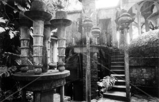 Detalle Xilitla (stairway to...)