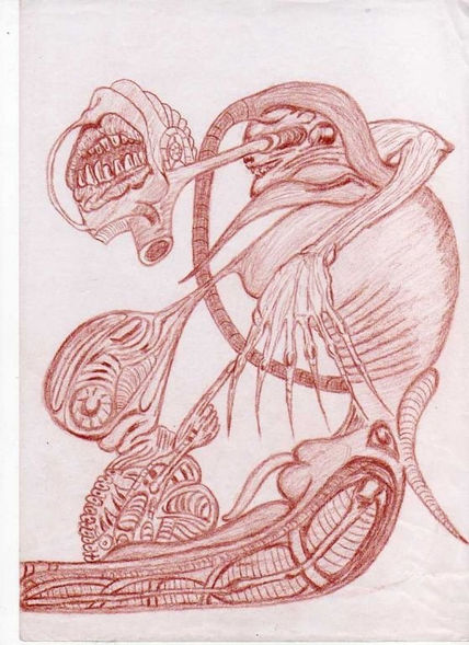 Amor sin barreras