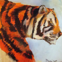 Tigre