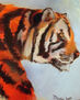 Tigre