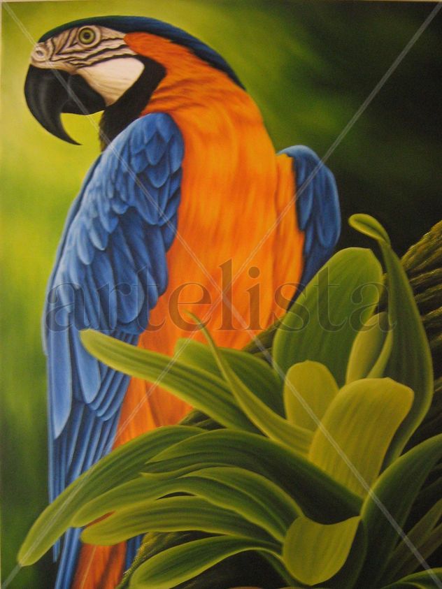 guacamaya bandera