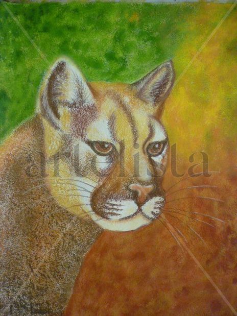 Puma mexicano