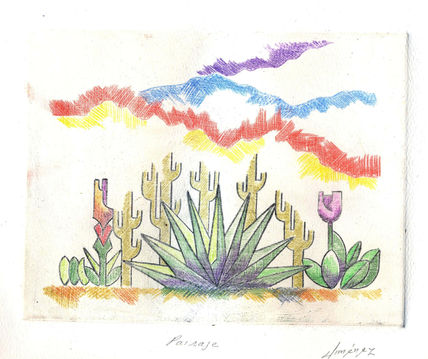 Paisaje