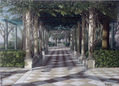 PERGOLAS EN PASEO CARLOS II