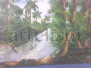 Selva tropical