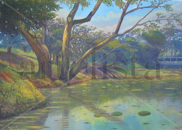 Paisaje antioqueño Oil Canvas Landscaping