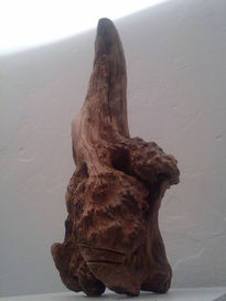Chief long feder...