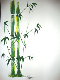 Bamboo