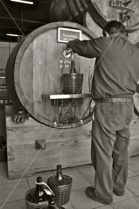‟Bodegas Norton"