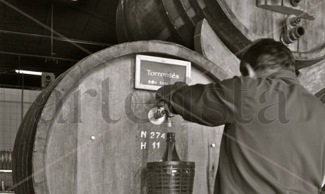 ‟Bodegas Norton"