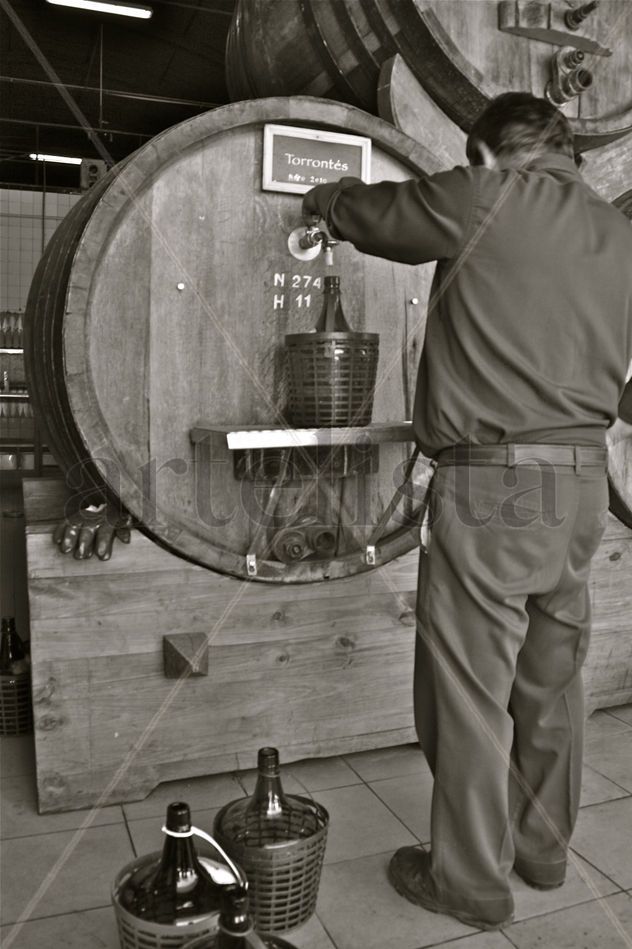 ‟Bodegas Norton"