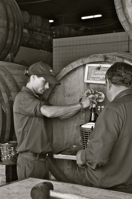 ‟Bodegas Norton"