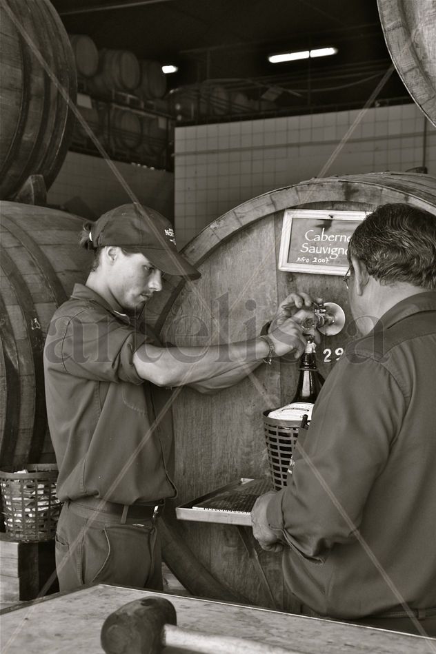 ‟Bodegas Norton"