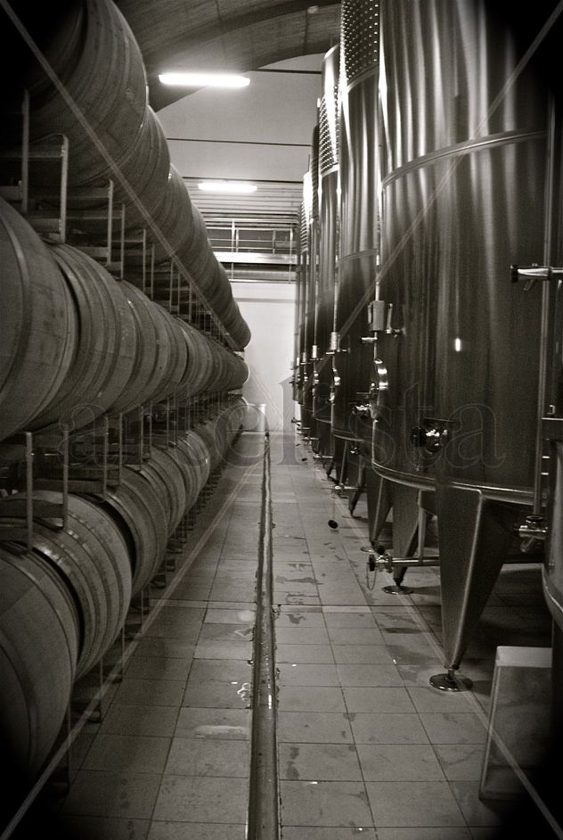 ‟Bodegas Norton