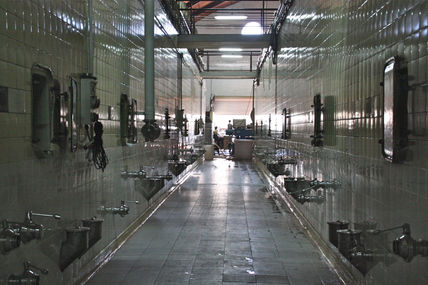 ‟Bodegas Norton"