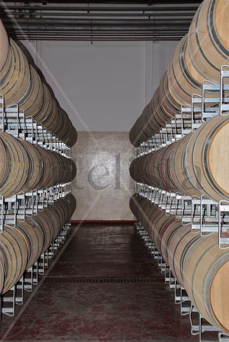 ‟Bodegas Norton"