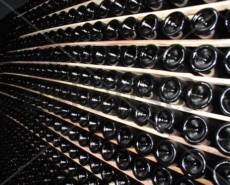 ‟Bodegas Norton"