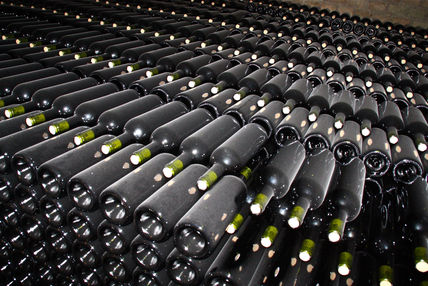 ‟Bodegas Norton"