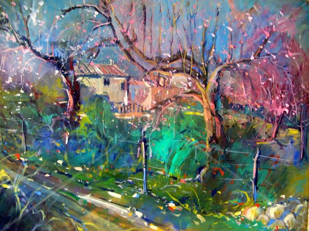 Almendros en Mallorca 1