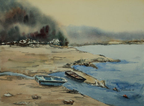 Barcas