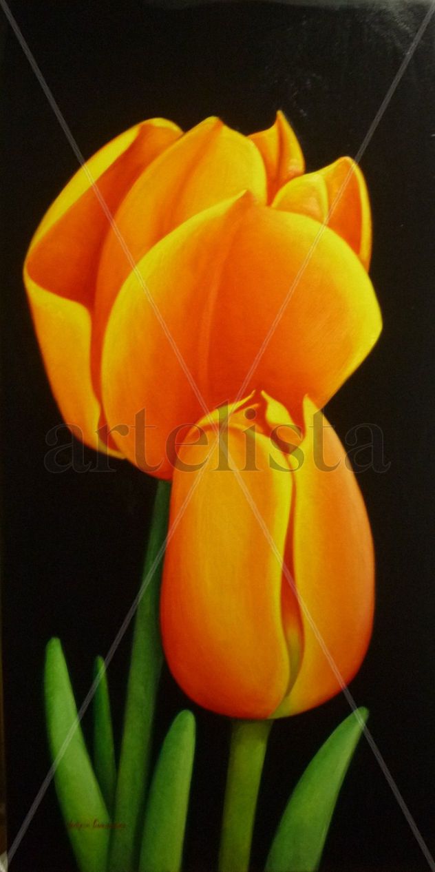 tulipanes