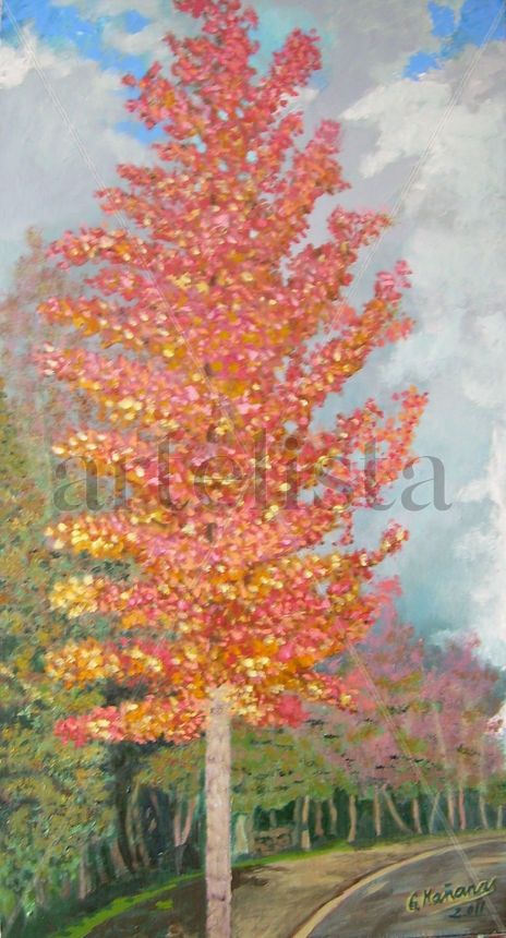 Otoño en Cuenca