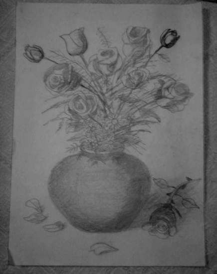dibujo 6