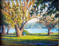 laguna san Pedro de la Paz