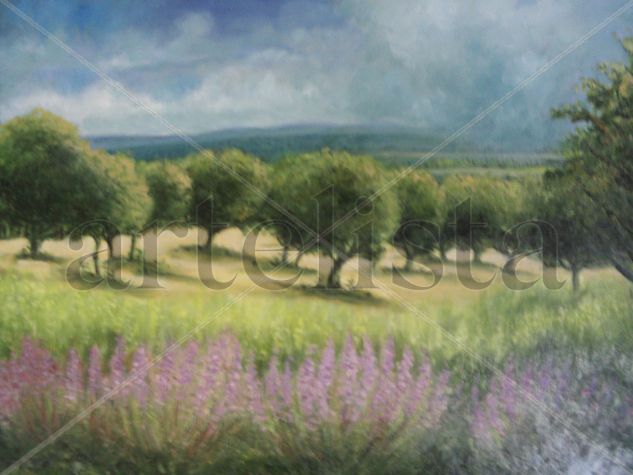 monte boadilla Oil Canvas Landscaping