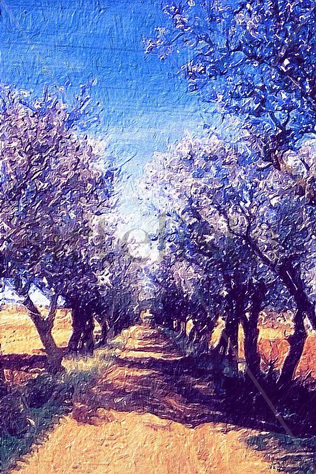CAMINO DE ALMENDROS