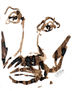 rostro 22